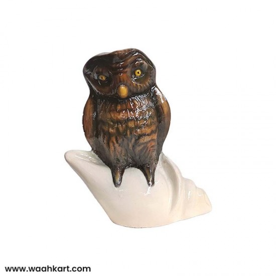 Vastu Piece Of Art - Brown Owl On Divine Shankh