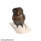 Vastu Piece Of Art - Brown Owl On Divine Shankh