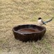 Tree Trunk Shape Water Bowl / Urli / Bird Bath