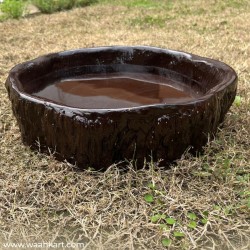 Tree Trunk Shape Water Bowl / Urli / Bird Bath
