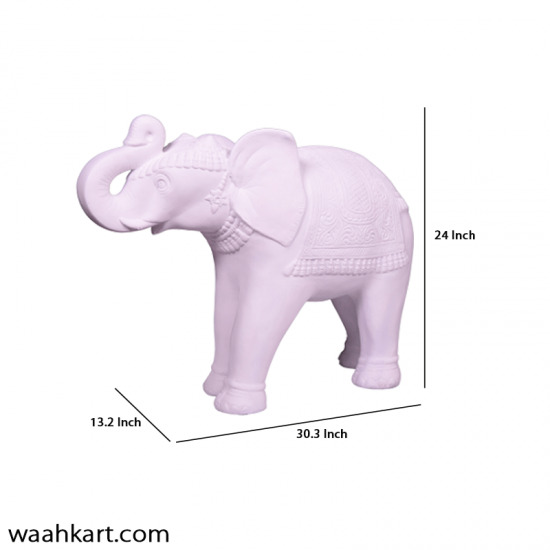 White Royal Elephant