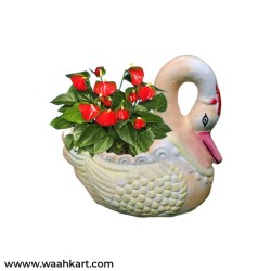 White Swan Planter