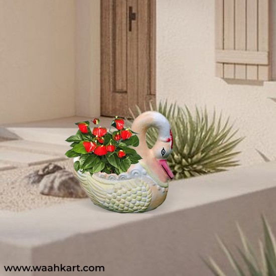 White Swan Planter