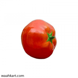 Tomato - A Learning Model