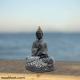 Gautam Buddha In Grey Shade