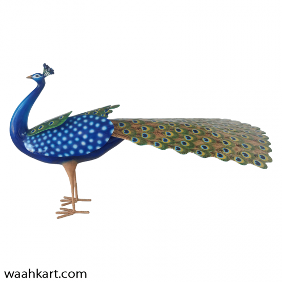 Pleasant Statue Of Peacock