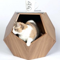 Dog House And Cat House Multipurpose Side Table Geometric Shape