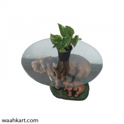 Elephant Base Center Table (without glass)