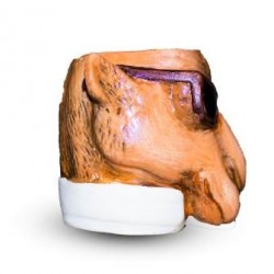 Camel Face Shaped Pot