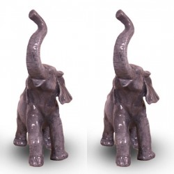 Grey Elephants Pair