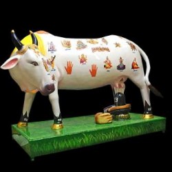 Kamdhenu Cow With Shivling
