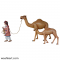 Rajasthani Man With Camel And its Calf