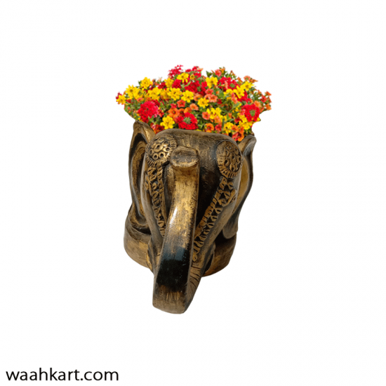 Two Sided Golden Face Elephant Planter