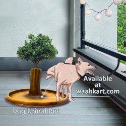 Dog Urinal