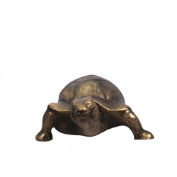 Vastu Tortoise- Copper Shade