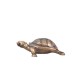 Vastu Tortoise- Copper Shade