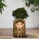 Egyptian Lady Face Plant Pot