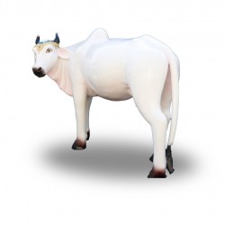Life Size - White Cow Statue