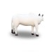 Life Size - White Cow Statue
