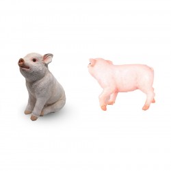 Real Pig Showpiece- Combo Pack
