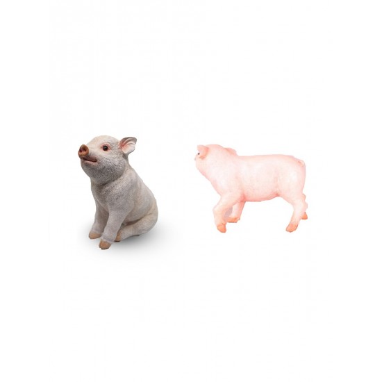 Real Pig Showpiece- Combo Pack