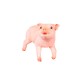 Real Pig Shaped Statue
