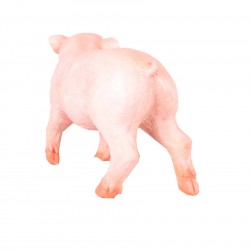 Real Pig Shaped Statue