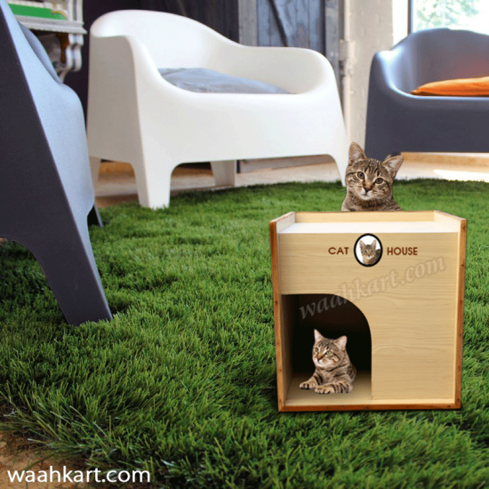 Cat House - Cattery
