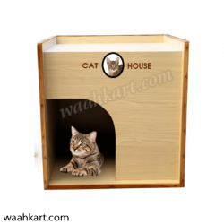 Cat House - Cattery