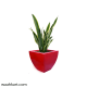 Red Square Shaped Plant Pot
