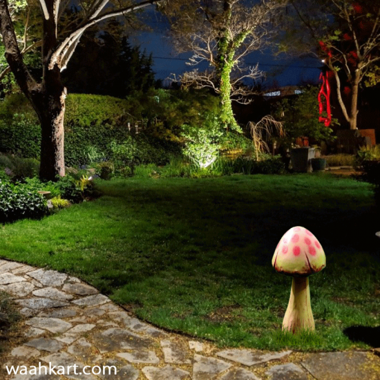 Attractive Look- Mushroom Statue