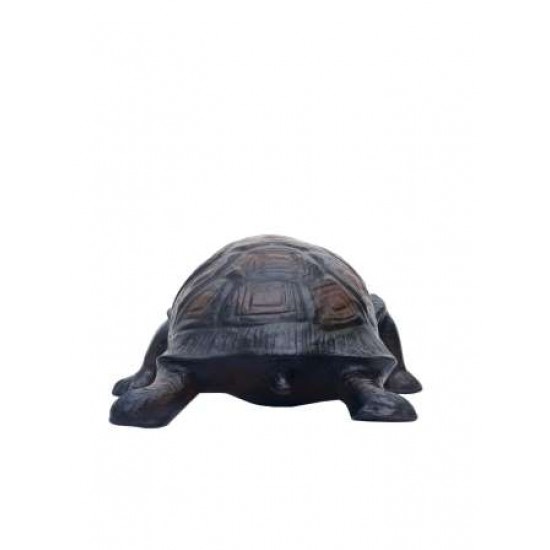 Tortoise - A Real Size Feng Shui