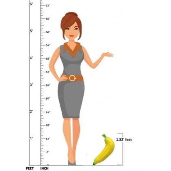 A Learning Half - Banana Model