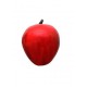A Learning Half Cutted Apple Model