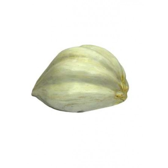 A Learning Half Cutted Model- Garlic