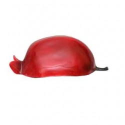 A Learning Half Cutted Pomegranate Model