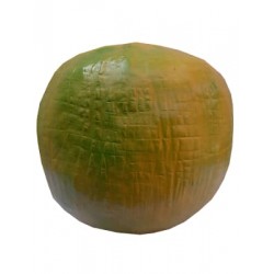 Citrus Fruit Sweet Lemon Fiber Model