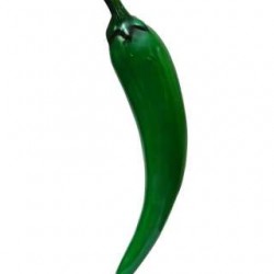 Green Chili- A Learning Model