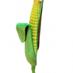 Maize -A Learning Half Cutted Model