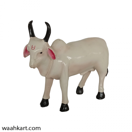 Nandi Bull