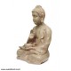 Light Brown Shade Gautam Buddha Showpiece