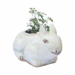 Simple White Rabbit Planter