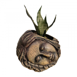 Sleeping Earthly Looking Lady Face Planter