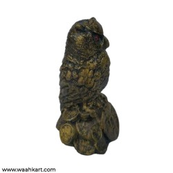 Fengshui Owl Vastu Showpiece