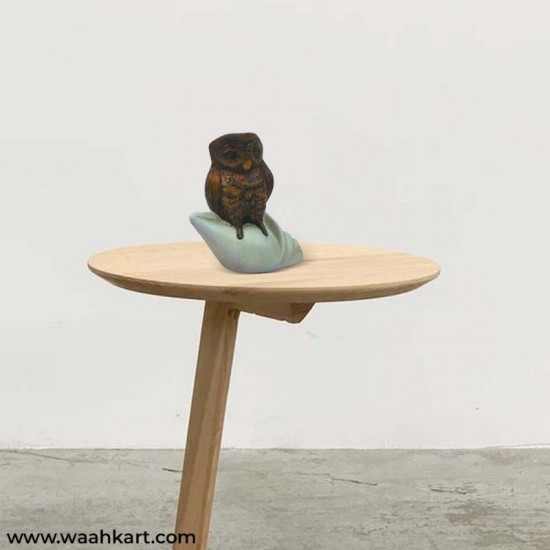 Vastu Piece of Art - Brown Owl On Divine Shankh