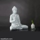 Spiritual White Shaded Buddha