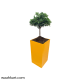 Heighted Yellow Planter