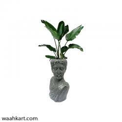Greek Man Sculpture Head Planter